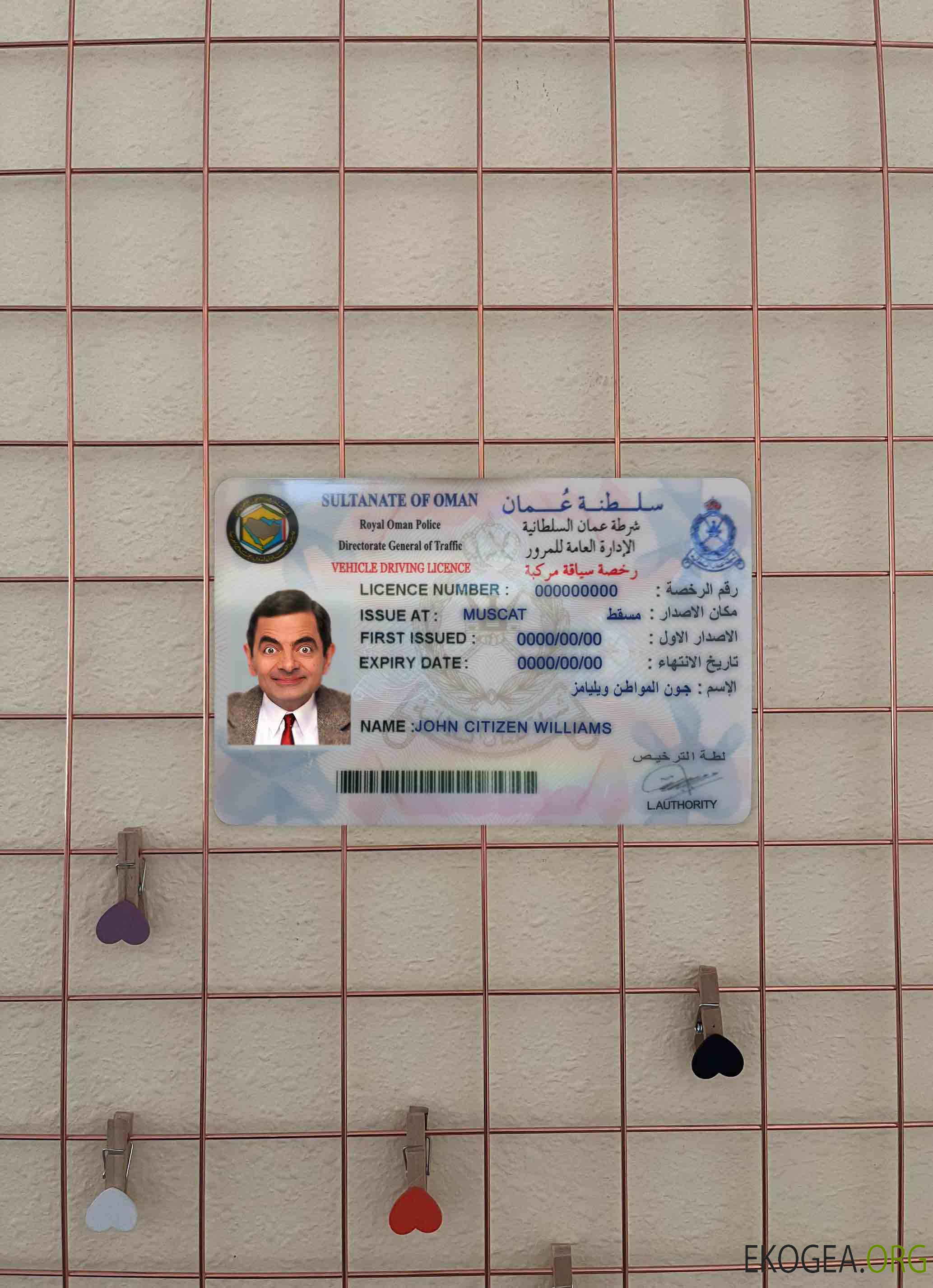 Oman DL photolook AVANT